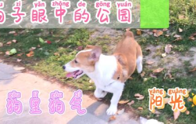 每日吃瓜51吃瓜,揭秘娱乐圈背后的那些事儿
