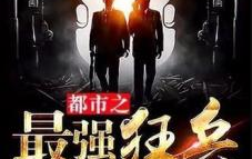 都市之最强狂兵小说,一剑破九天，狂战无敌