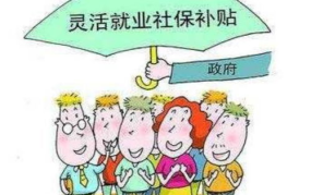 社会养老保险的种类,三大体系与多样化选择