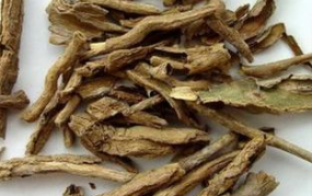 中药地骨皮,中医药宝库中的清热润肺佳品